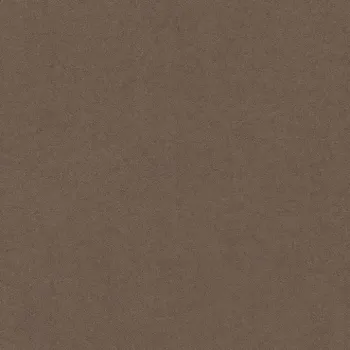 Preview: Nahaufnahme der Teppichfarbe Vorwerk Barista 8K30 – Veloursstruktur im Detail